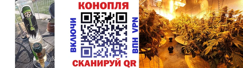 сколько стоит  Верхний Тагил  Шишки марихуана сатива 
